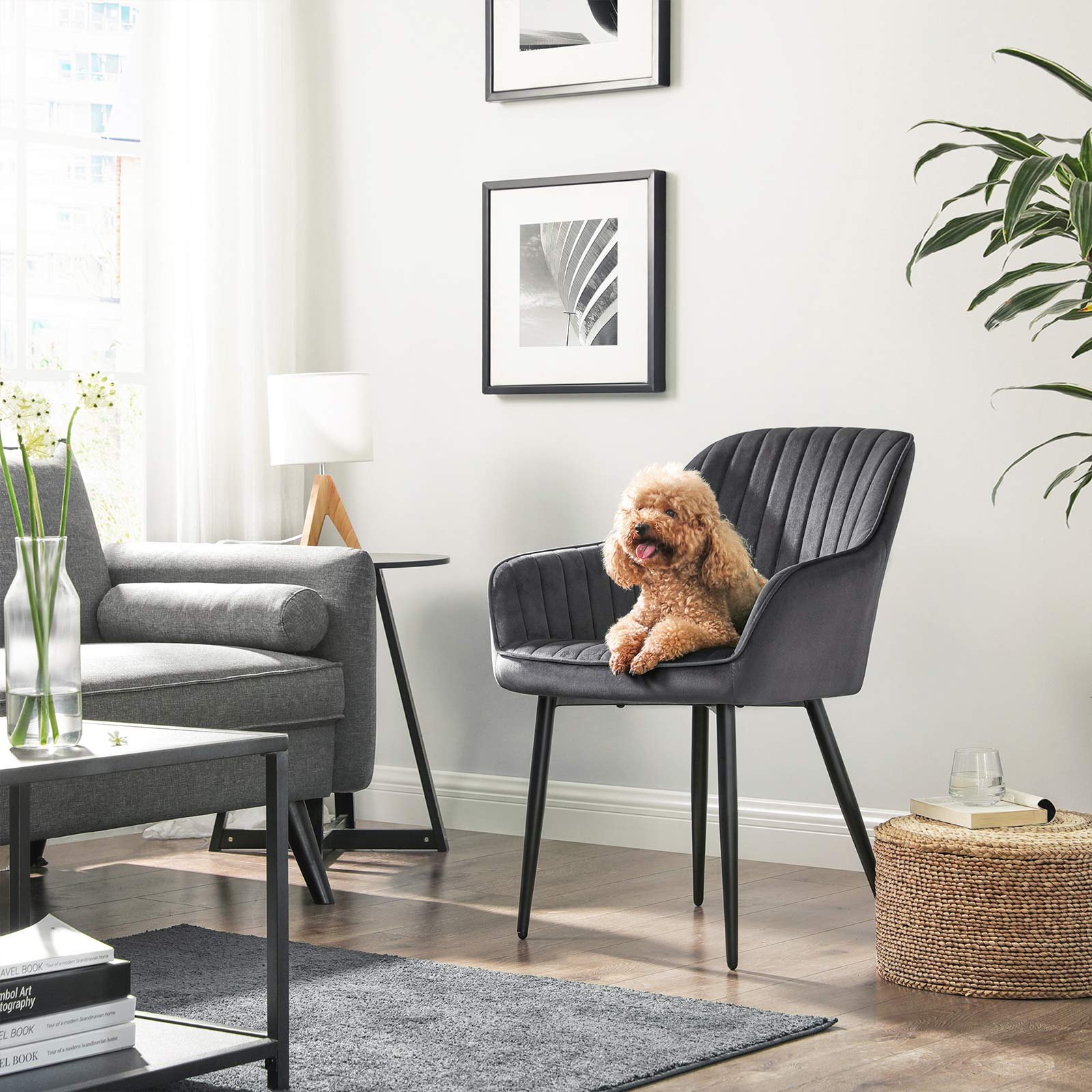 Eetkamerstoel - Fauteuil met armleuningen - Gestoffeerd - Grijs